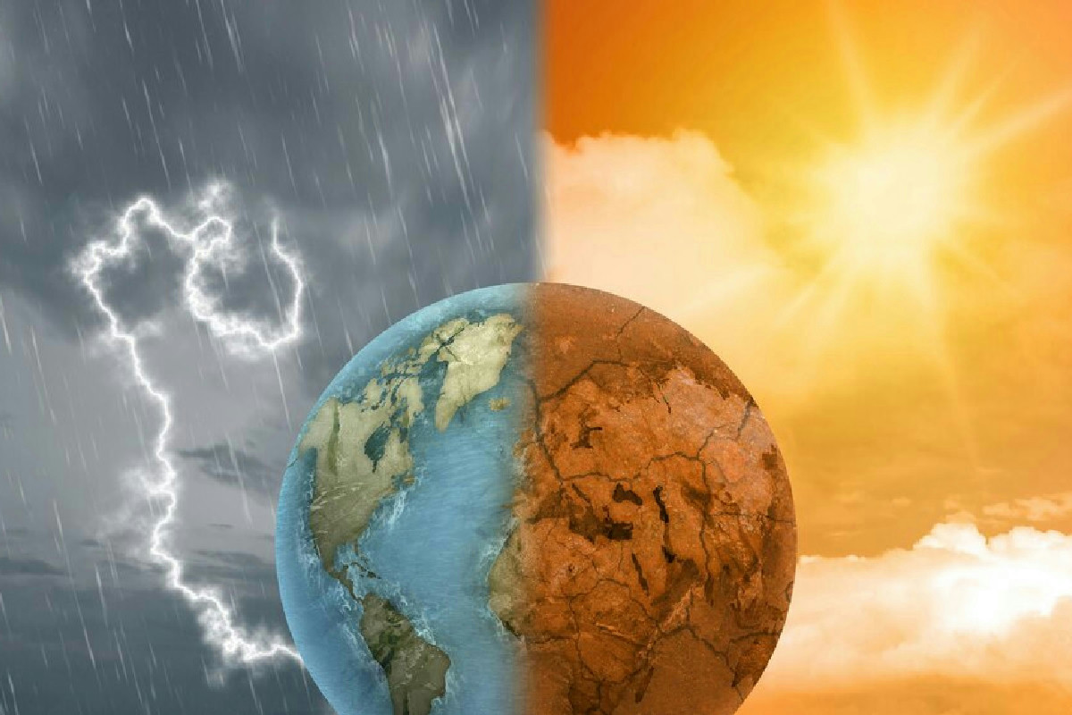 Vino, caffè e cioccolato travolti dai cambiamenti climatici: l’allarme che preoccupa il mondo